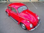Thumbnail Photo 8 for 1964 Volkswagen Beetle